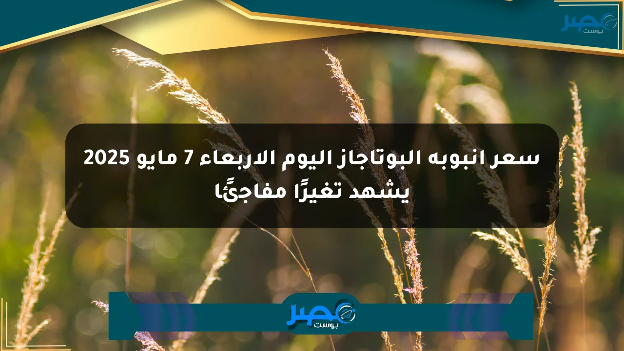 سعر أنبوبة البوتاجاز اليوم الأربعاء 7 مايو 2025 يشهد تغيرًا مفاجئًا الان