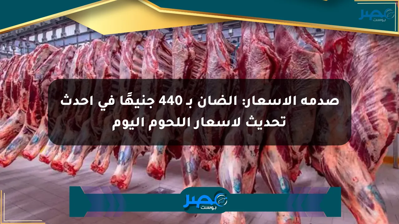 صدمة الأسعار: الضأن بـ 440 جنيهًا في أحدث تحديث لأسعار اللحوم اليوم الان