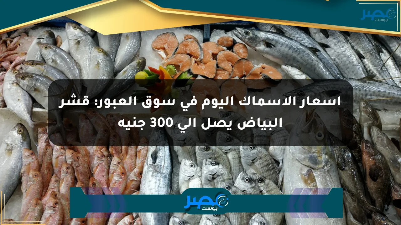 أسعار الأسماك اليوم في سوق العبور: قشر البياض يصل إلى 300 جنيه الان