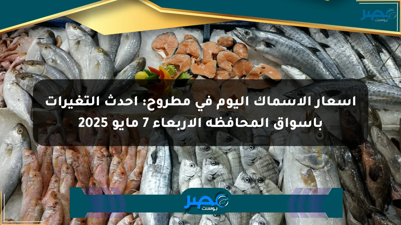 أسعار الأسماك اليوم في مطروح: أحدث التغيرات بأسواق المحافظة الأربعاء 7 مايو 2025 الان