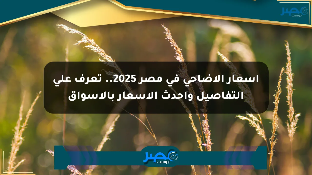 أسعار الأضاحي في مصر 2025.. تعرف على التفاصيل وأحدث الأسعار بالأسواق الان