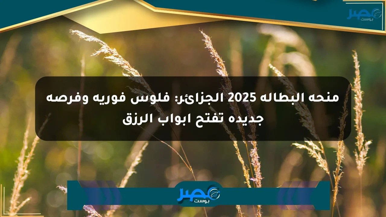 منحة البطالة 2025 الجزائر: فلوس فورية وفرصة جديدة تفتح أبواب الرزق الان