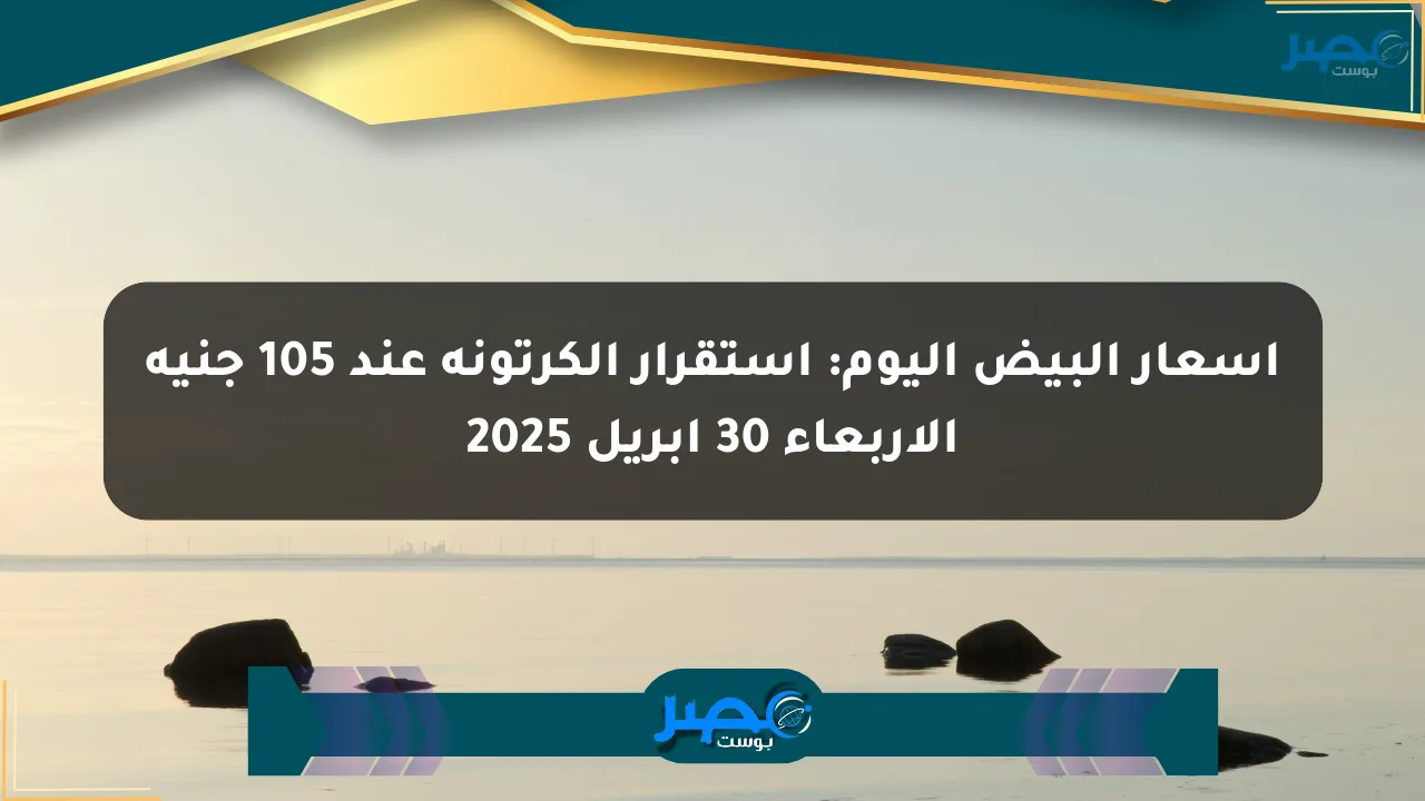 أسعار البيض اليوم: استقرار الكرتونة عند 105 جنيه الأربعاء 30 أبريل 2025 الان