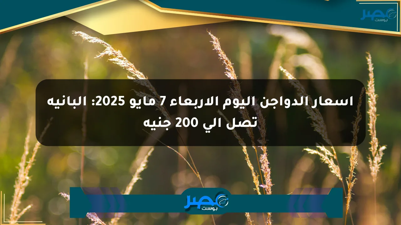 أسعار الدواجن اليوم الأربعاء 7 مايو 2025: البانية تصل إلى 200 جنيه الان