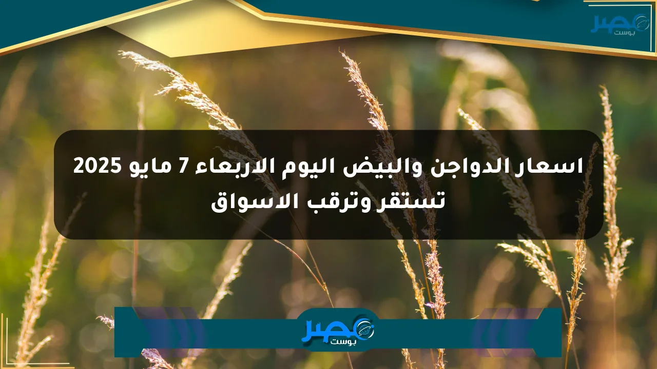 أسعار الدواجن والبيض اليوم الأربعاء 7 مايو 2025 تستقر وترقب الأسواق الان