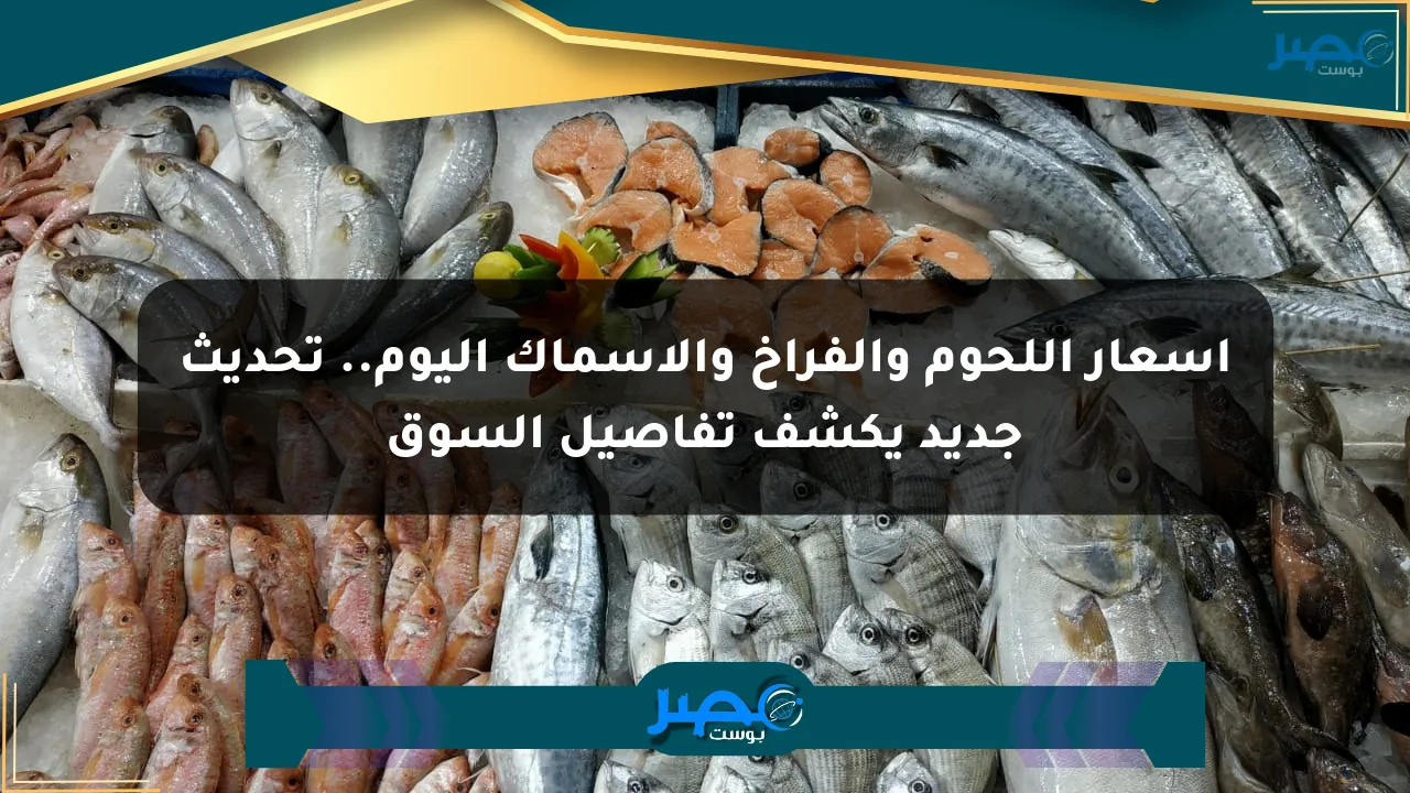 أسعار اللحوم والفراخ والأسماك اليوم.. تحديث جديد يكشف تفاصيل السوق الان