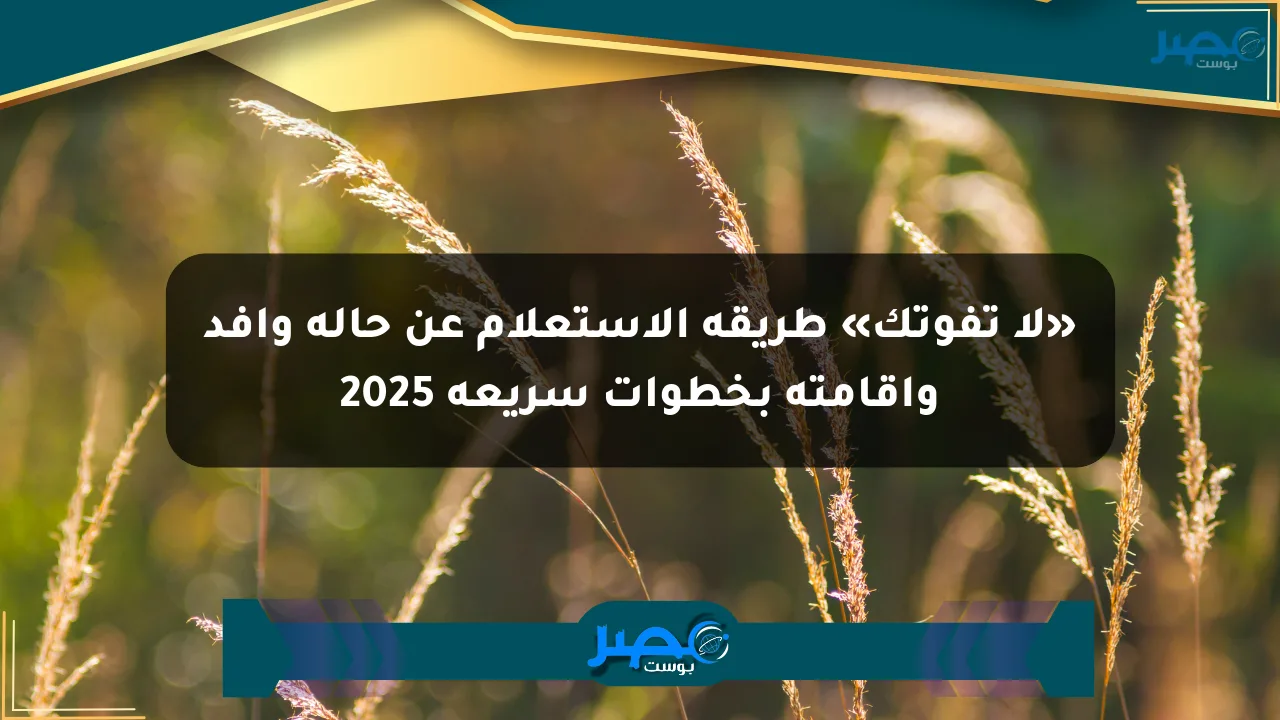 «لا تفوتك» طريقة الاستعلام عن حالة وافد وإقامته بخطوات سريعة 2025 الان