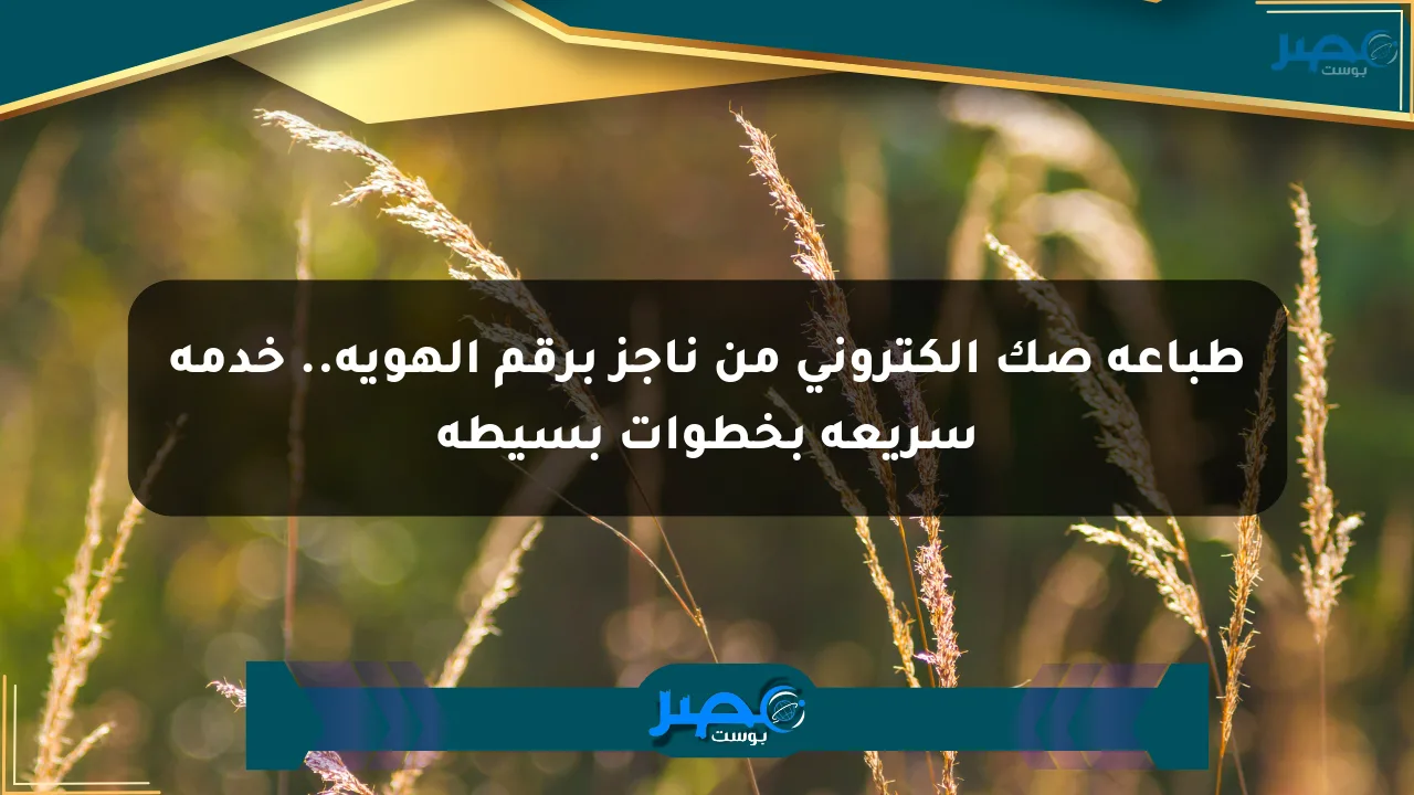 طباعة صك إلكتروني من ناجز برقم الهوية.. خدمة سريعة بخطوات بسيطة الان