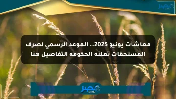 معاشات يونيو 2025.. الموعد الرسمي لصرف المستحقات تعلنه الحكومة التفاصيل هنا الان